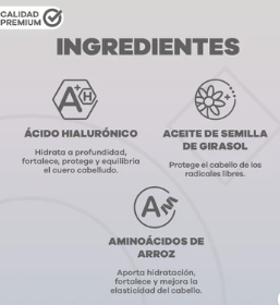Tratamiento Capilar Booster LA POCION