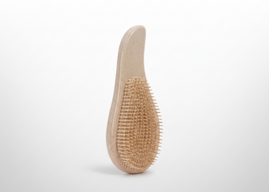 CEPILLO CAPILAR ANTI FRIZZ